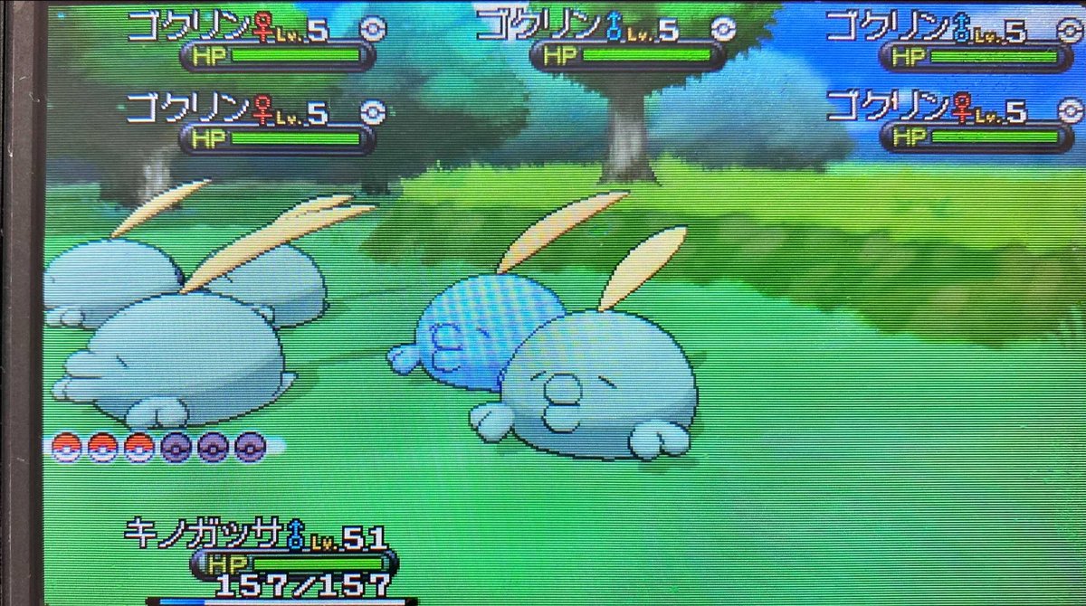 ポケモンxy ポケモンxy