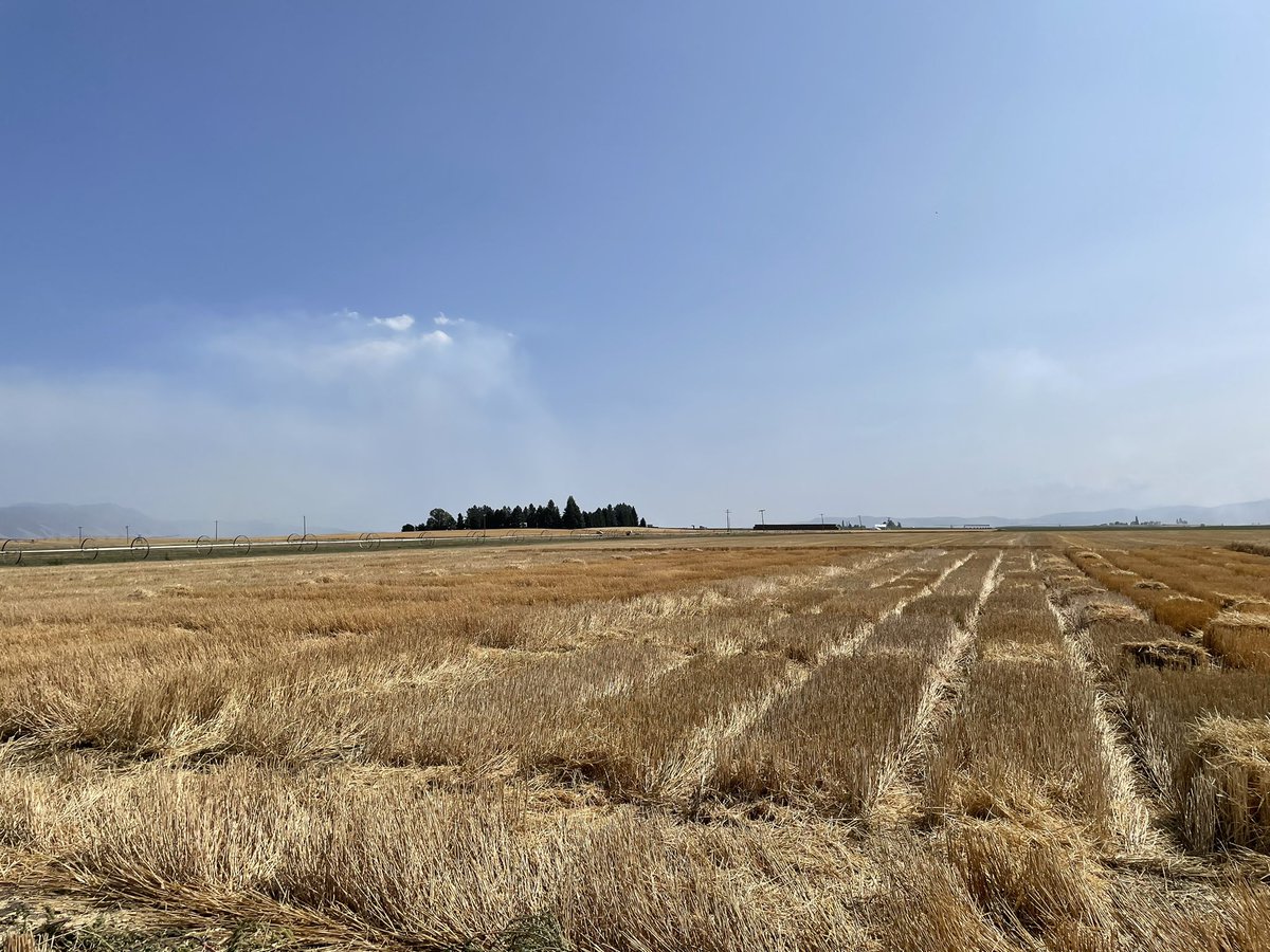 Ryan Graebner tweet media