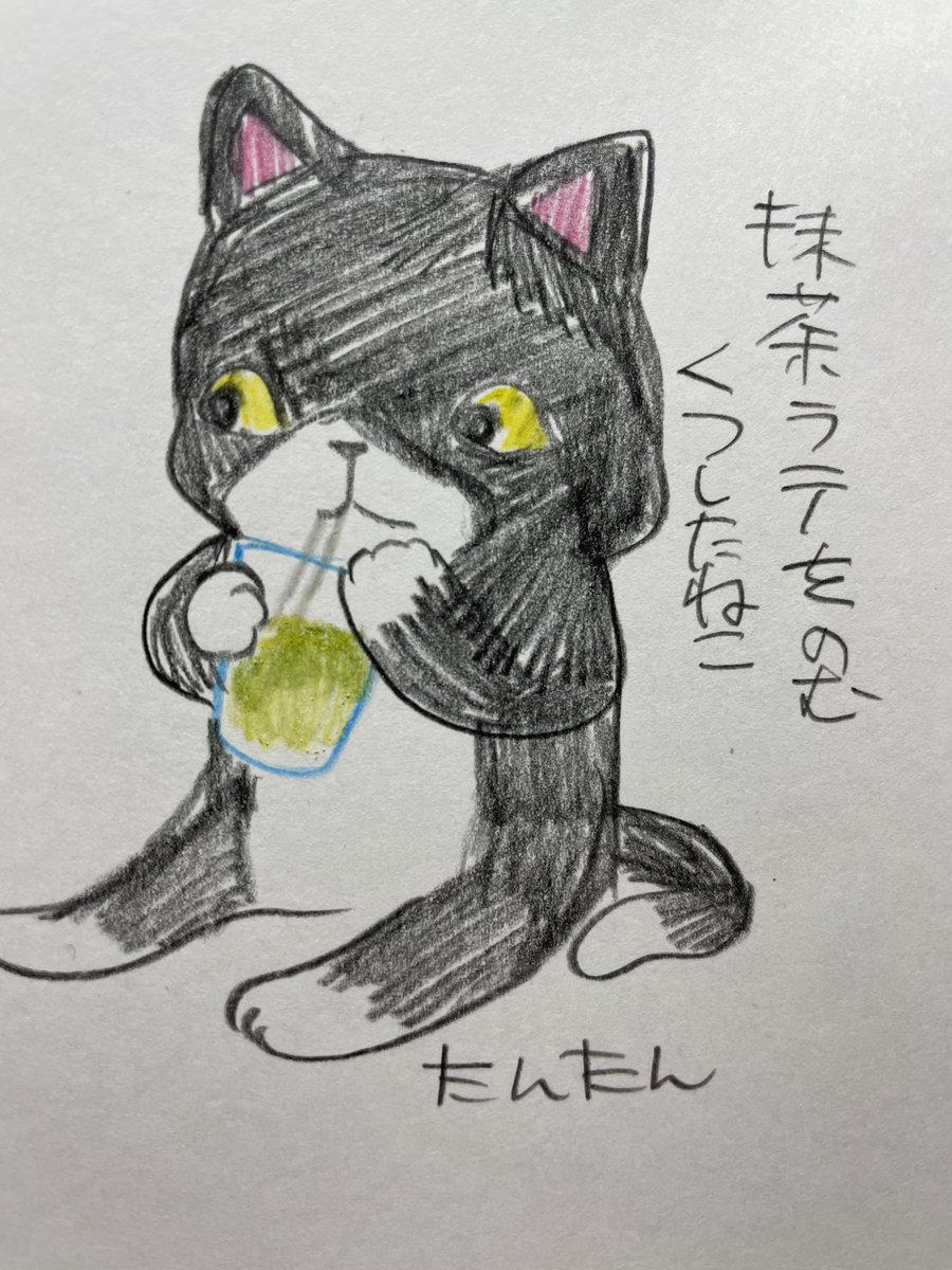 抹茶ラテを飲むくつしたねこ

#イラスト #猫 