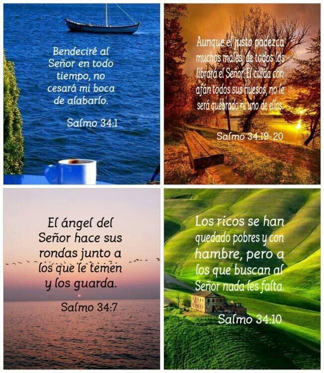 DomGonSer's tweet photo. #NoMeCansoDe invitarlos a que lean la Biblia, maravillosas promesas nos tiene Dios a los que lo amamos y cumplimos con su palabra,grande es su misericordia y su amor por nosotros.
Gracias Padre bueno en el nombre de Jesús.
#YoAmoADios
#SoySeguidorDeJesús
#SoyFelizLeyendoLaBiblia https://t.co/h8qTU5sGlx