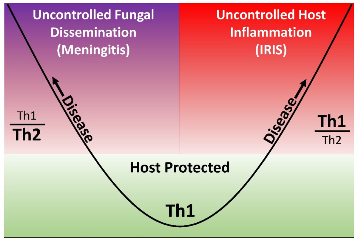 JoF_MDPI's tweet image. &quot;#Diagnosis and Management of Central Nervous System #Cryptococcal Infections in #HIV-Infected Adults&quot; From Dr. Skipper et al.

Full paper at mdpi.com/2309-608X/5/3/…