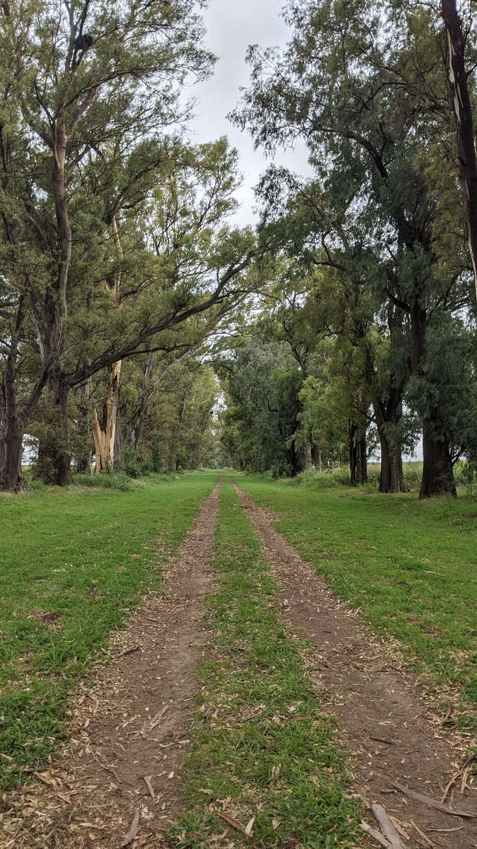 <a href="/ArgentinoCampo/">Campo Argentino</a>