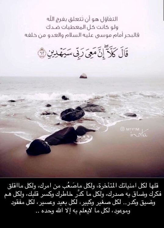بندر فرحان الحماد tweet media