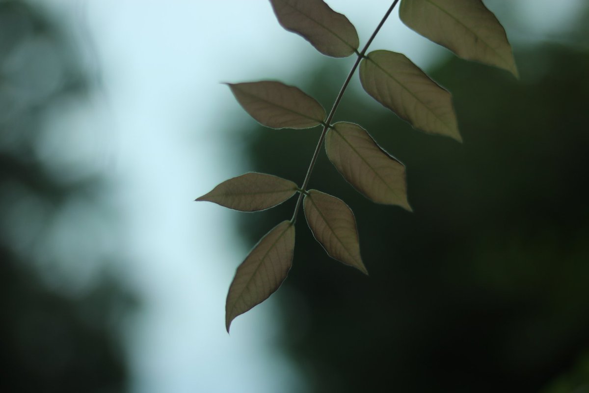 rentana35's tweet photo. 心を落ち着かせて、素敵な一日を!
#artwork #photography #beautiful #写真好きな人と繫がりたい #撮影会モデル #TVCM #Asia街スター
#misuacosmetic #beauty #美容垢さんと繋がりたい #CmModels https://t.co/dvWDHt5EZQ