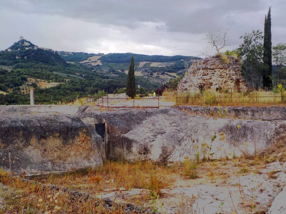 Alessandro Marchetti tweet media