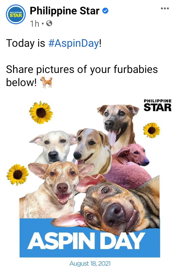 CSCN1018's tweet image. Ay, di pala sya Aspin, AsChin!