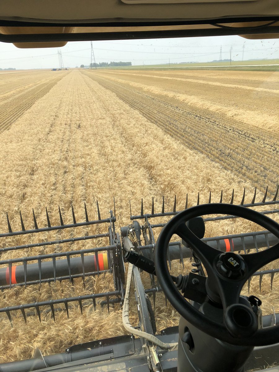 FAH_Corby's tweet photo. Back home after a whirlwind 3 days of cereals at the farm. Glad we could be there to help. #harvest21 #cerealsdone #catdriver #oattrucker #MB https://t.co/AsUN0O0Z94