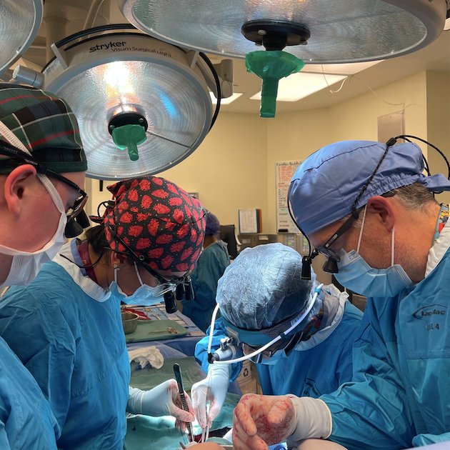 McMaster Cardiac Surgery tweet media