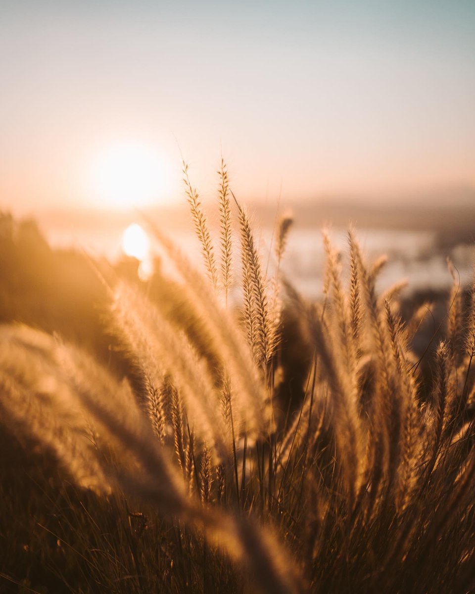 Kilroy Agency tweet media