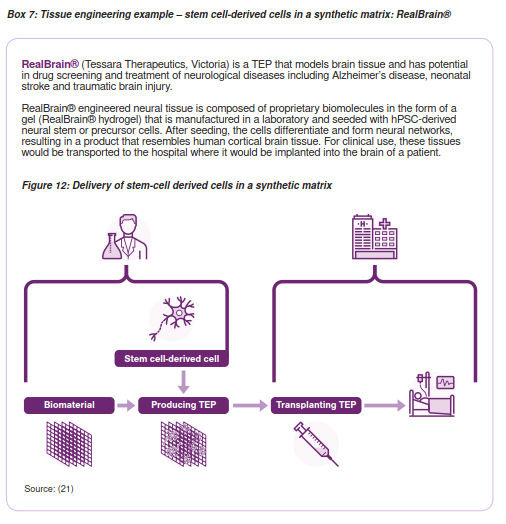 We are pleased that our RealBrain® technology is highlighted in the recently launched AusBiotech and RM Catalyst comprehensive report "The Regenerative Medicine Value Chain". Check it out at lnkd.in/gNw2ZbZ9