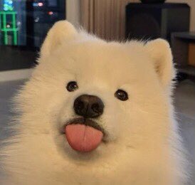 emembbee's tweet photo. มะน่อ https://t.co/TEmAg8tVWw