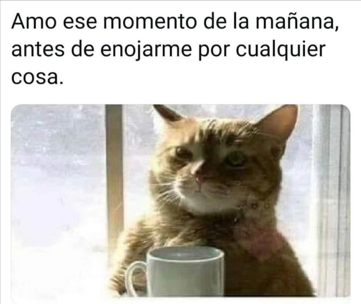 aixap's tweet image. 