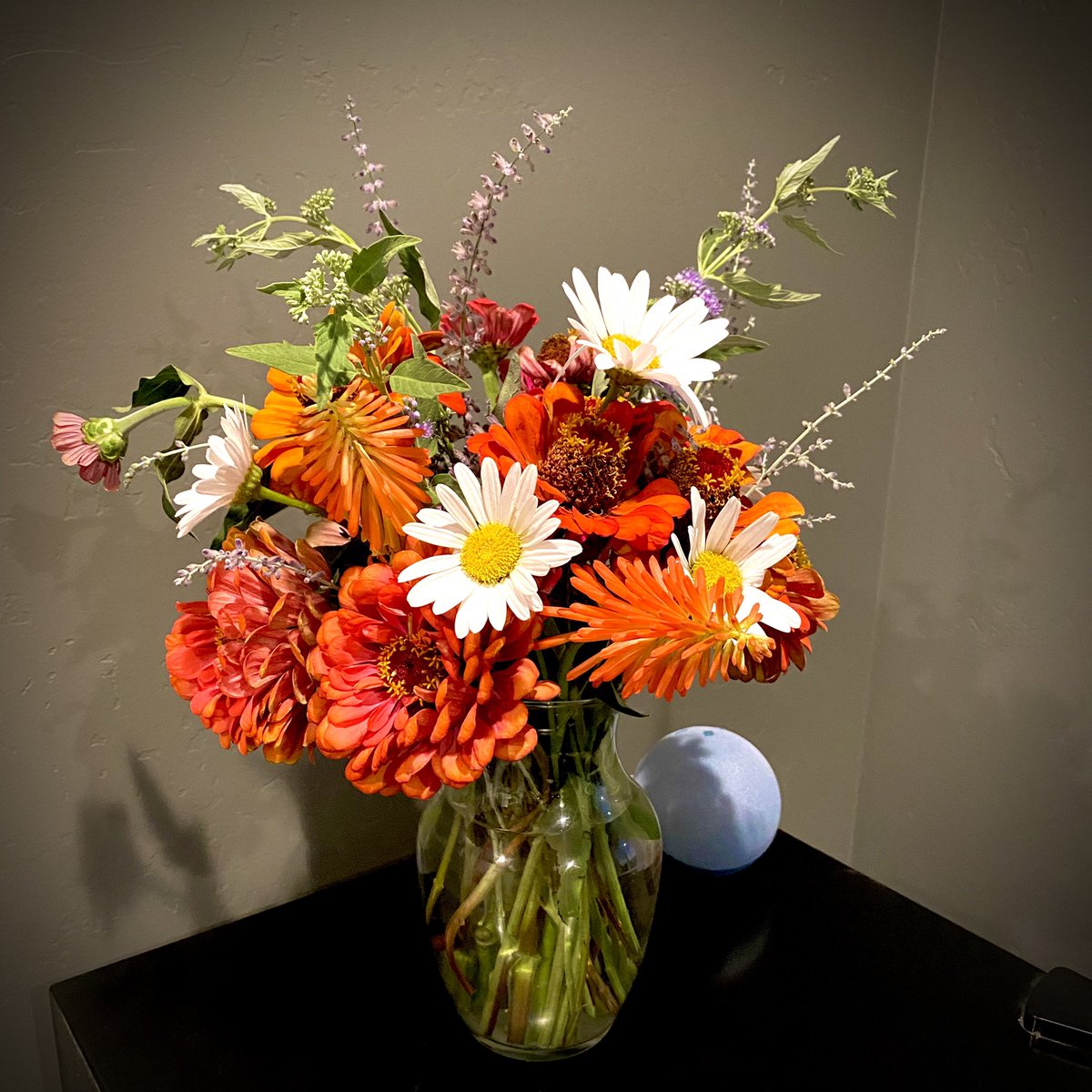 authoramyhiller's tweet photo. When life gives you lemons, you make lemonade. When I crazy intense wind story blows down your zinnias, you and your 8 year old make a flower bouquet. 💐❤️
#igrewthat #gardening #flowers #stupidwind https://t.co/YyDqsUTRO7