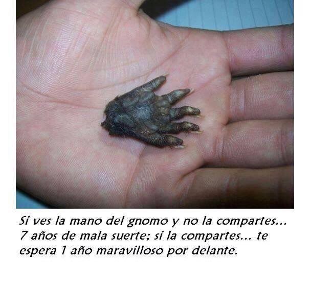 acristofalo's tweet image. Y bien amigos, la verdad ya no sé si esto funciona. Les voy a decir la verdad: siempre fue mentira. Yo creo en Gallardo. Pero.