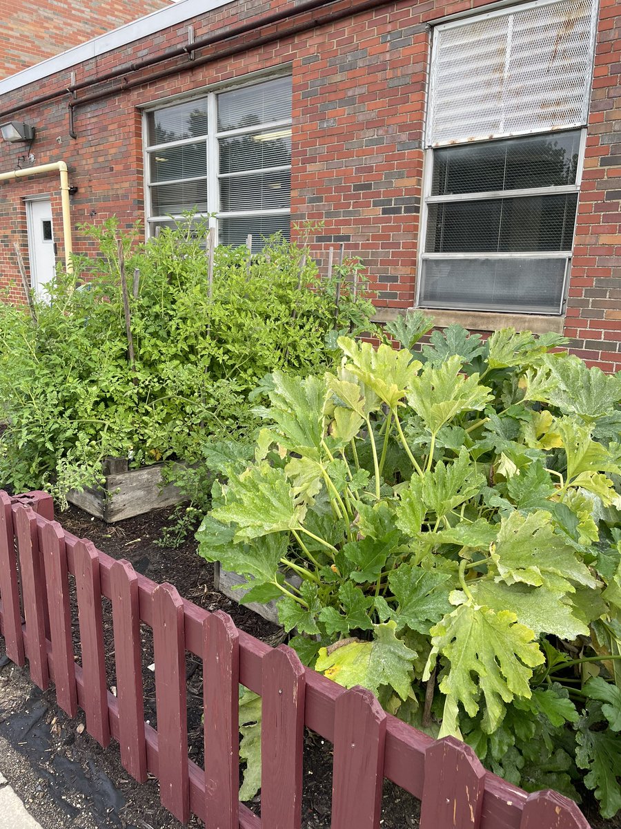 Melridge Elementary tweet media