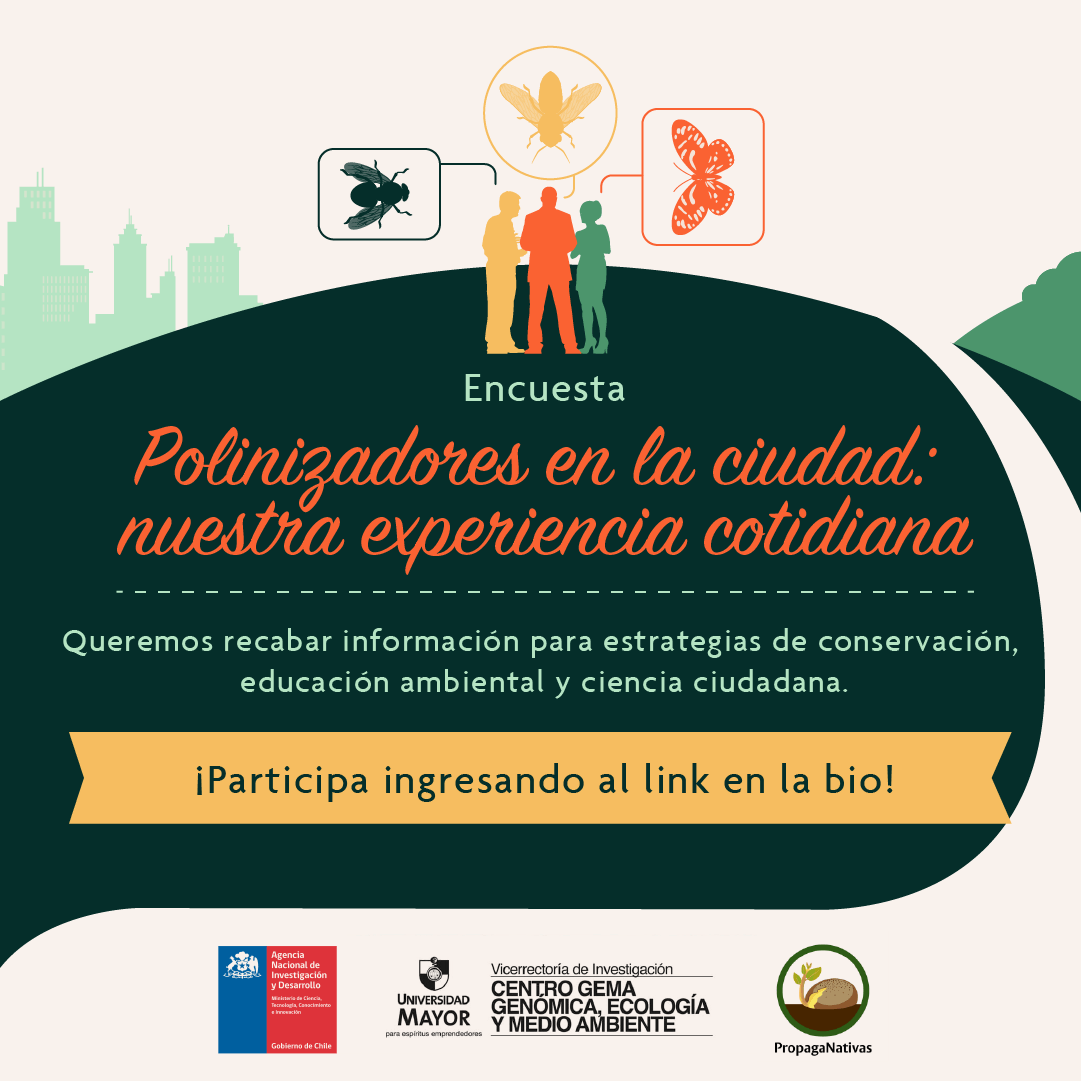 Atención amig@s de la polinización!
Necesitamos conocer más de nuestros polinizadores para junto a ustedes ayudar a su conservación. Para esto #Surpass_Chile y <a href="/PNativas/">Propaga Nativas</a> los invitamos a sumarse y contestar está breve encuesta:
docs.google.com/forms/d/e/1FAI…
<a href="/redchilenapolin/">Red Chilena de Polinización</a>