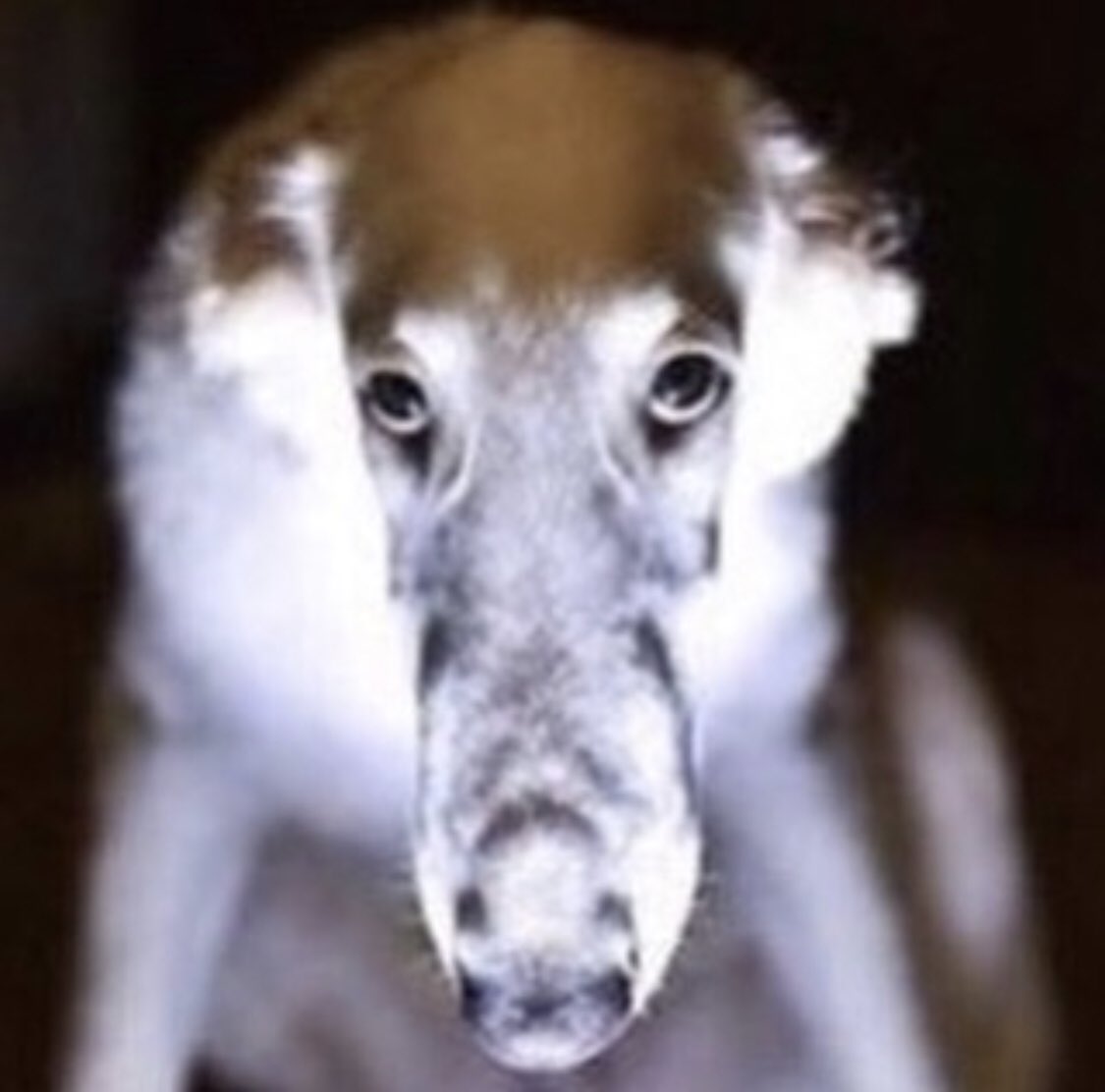 jackson ward tweet media