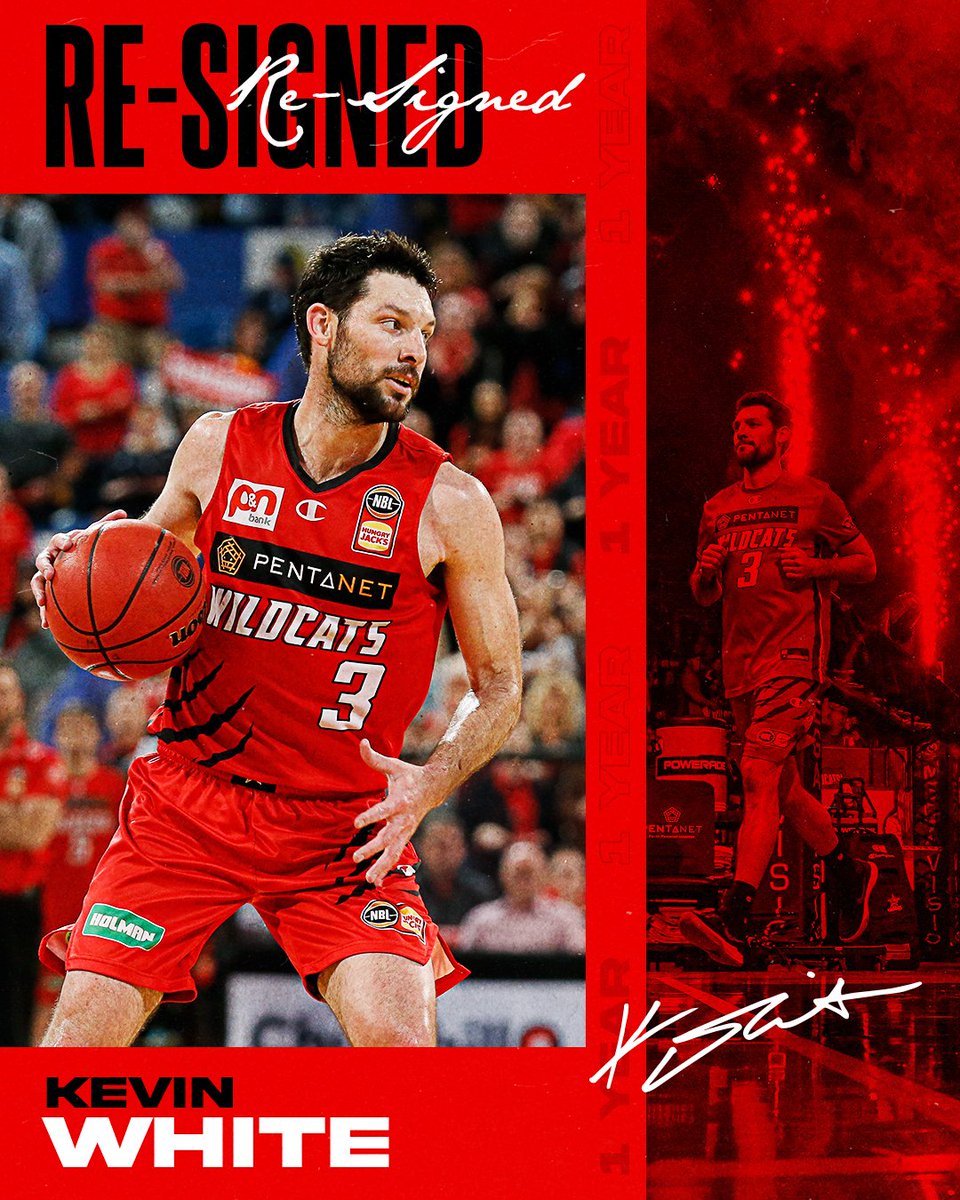 PerthWildcats's tweet photo. Season 11 for Kevin!

Veteran point guard Kevin White returns for his second year as a Wildcat with unfinished business. 😤

Full details: https://t.co/z1tSGaKeyP https://t.co/nMwo7oyTok