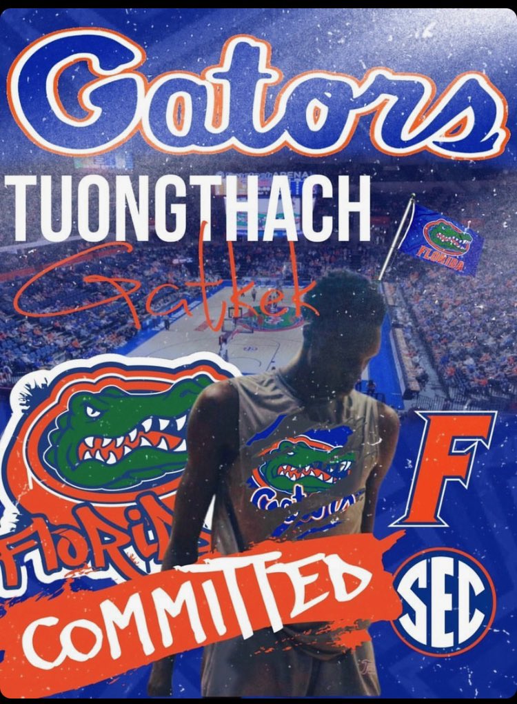 🐊💙🧡