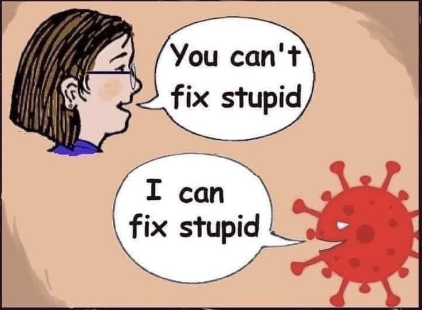 🏴󠁧󠁢󠁷󠁬󠁳󠁿Rosy🇨🇦®️ (@msrosy45) on Twitter photo 