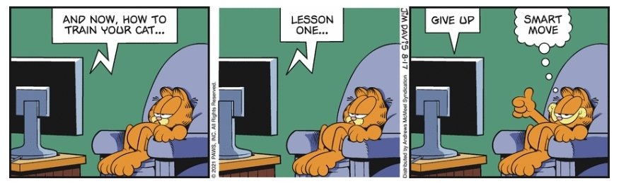 WasGarfield tweet picture
