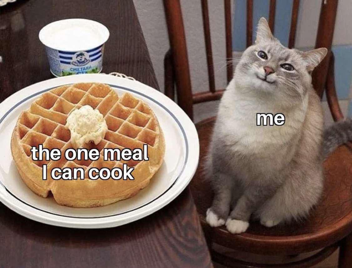 WholesomeMemes (@wholesomememe) on Twitter photo 