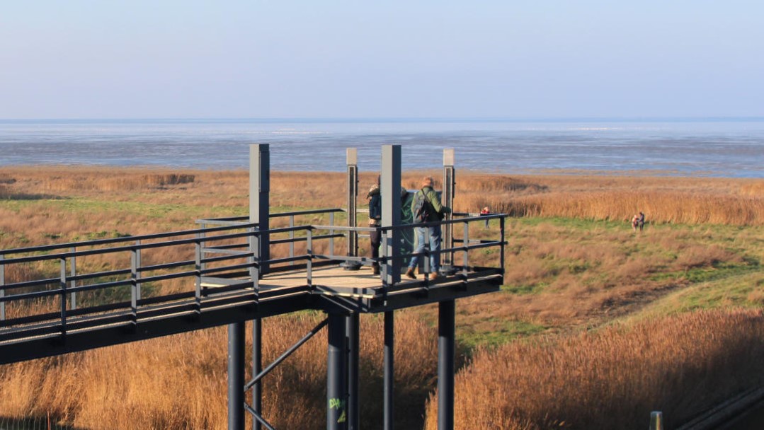Bezoek eens het uitkijkplateau Zwarte Haan, iets ten noorden van Sint-Annaparochie en geniet van het fantastische uitzicht over de Wadden.

#friesuitstapje
#friesland 
#waddenkust
#wadden
#waddenzee
#zwartehaan
#waadhoeke
#friesekust
#slikwerker
#kwelders
#fietsers
#wandelen