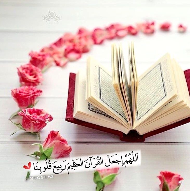 من العبارات القرآنية : لا تقنطوا، لا تحزنوا، لا تهنوا، لا تيأسوا، القرآن يدعوك للرضا والتفاؤل ويبعث فيك الأمل دائماً ، فلا تهجره ⁦

#عاشوراء