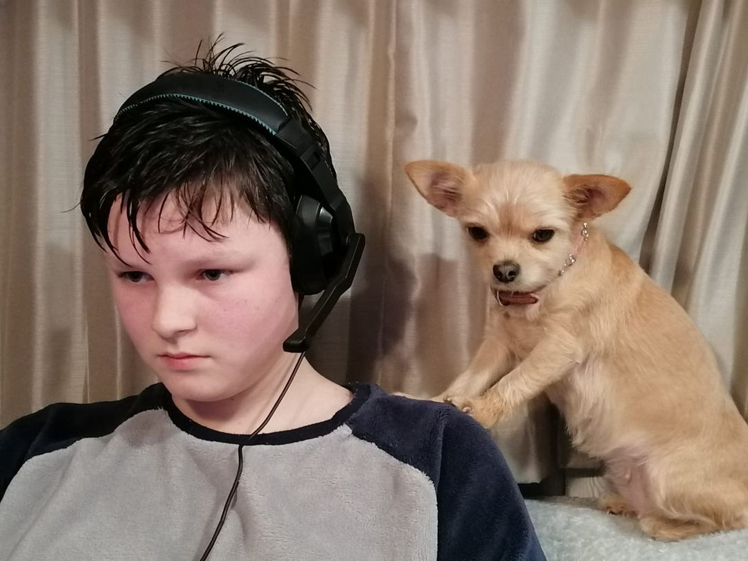 Kings_InterHigh's tweet photo. We just love ❤️this photo of an InterHigh student and his dog fully engaged with an online lesson! A picture is worth a thousand words... #onlineschool #lovelearning #InterHigh #dogs https://t.co/JD2r2kJC9Q