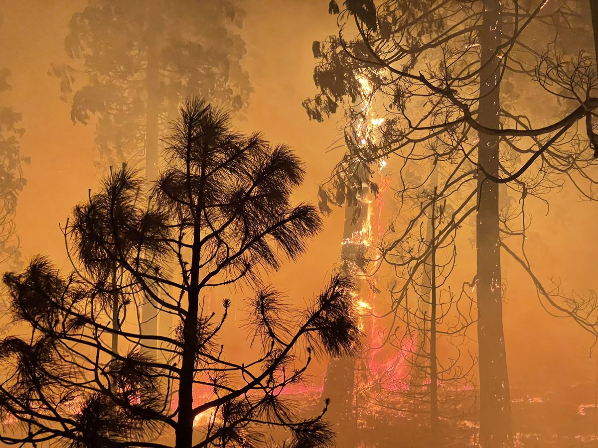 stuartpalley's tweet photo. Mormon emigrant rd virtually impassable 6 miles east of Jenkinson lake. Wind and smoke creating 0 visibility. Am relocating to safer spot to reasses. Possibly made it to eastern flank of fire but hard to tell. It's a moonscape in burn zone w lots of heat. Very windy. #caldorfire https://t.co/j2r9DAhuNz