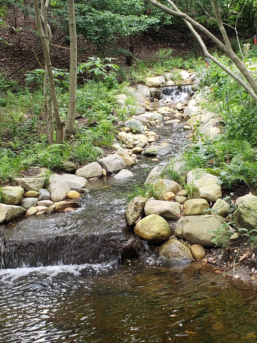 HappyCupcake67's tweet photo. Went for a hike at the preserve today with babe 🥰🏞️🌻🌄🌤️
#Avalon #Preserve #BackToNature #OutdoorsLife #Nature #Love #Sun https://t.co/S8e6lcePYl