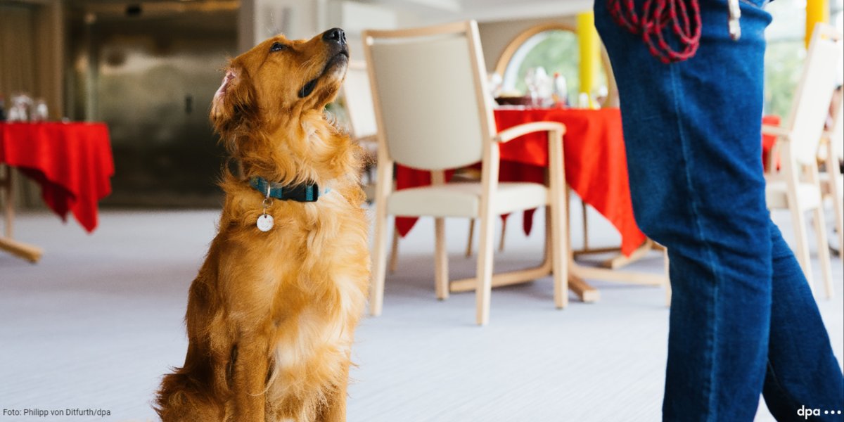 dpa·live tweet media