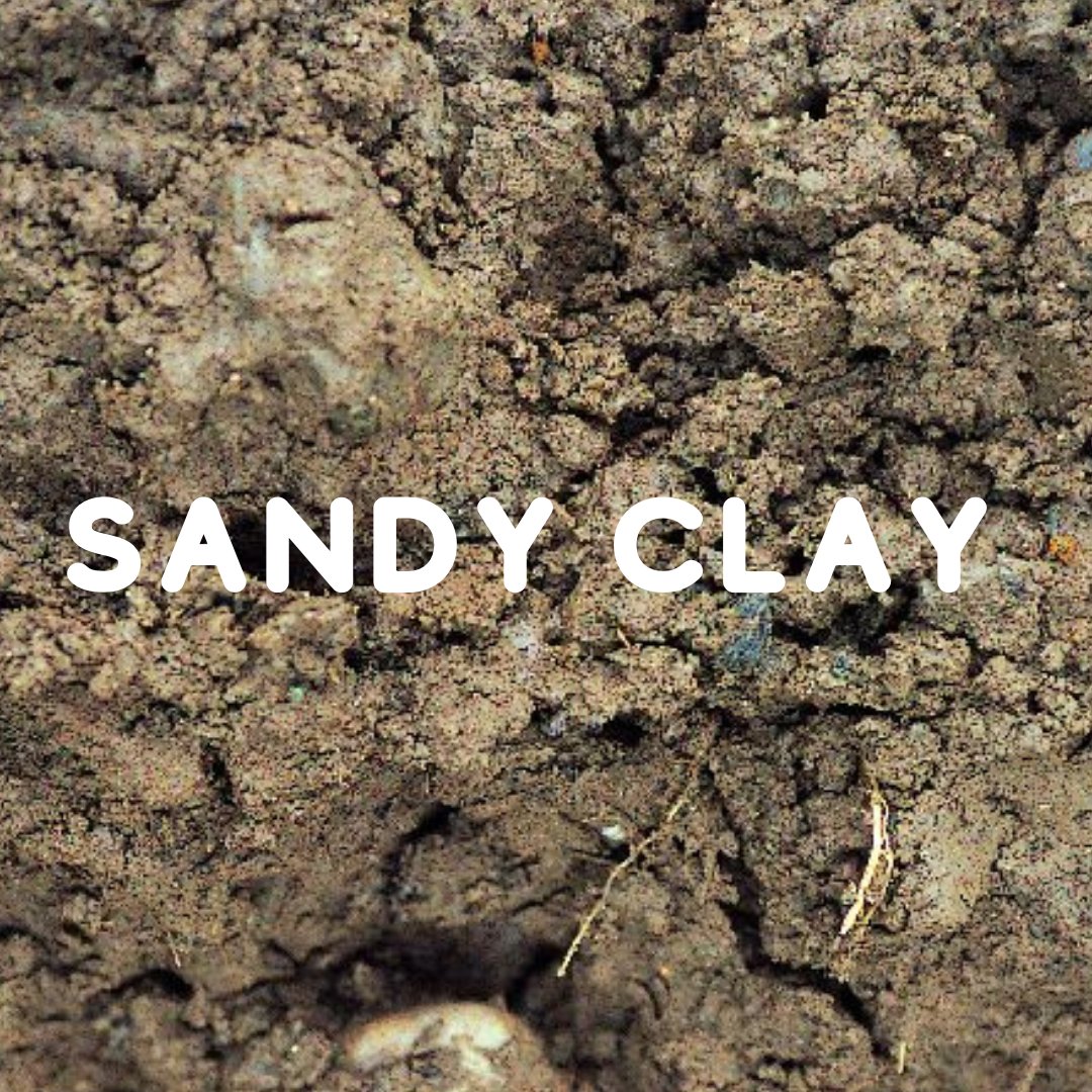 peat_free's tweet photo. Day#8 of 12 soil types in 12 days based on #usda #soiltexturetriangle
Gotta get them all!!!
Let's hear it for the #sandyclaysoil
#Whatsyourtype?

#nature #garden #plants #gardening #grow #mygarden #gardens #gardenlife #harvest #gardendesign #gardener #urbangarden https://t.co/0V4HQcnjZU