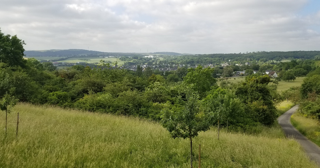 HalloEifel's tweet photo. Impressionen aus der Eifel
Kottenheim.
#eifel #wald #natur #urlaub #freizeit #ferien #Kottenheim https://t.co/Snnvcs0cJv