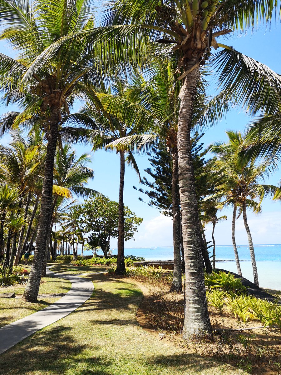 It’s always worth taking the scenic route...
#TheResidenceMauritius
#tripadvisortravelerschoice #beach #paradise #paradis #maurice #mauritius #visitmauritius #beautifuldestinations #theresidencemauritius #bellemare #mauritius🇲🇺 #momentsenriched #cenizarohotelsandresorts