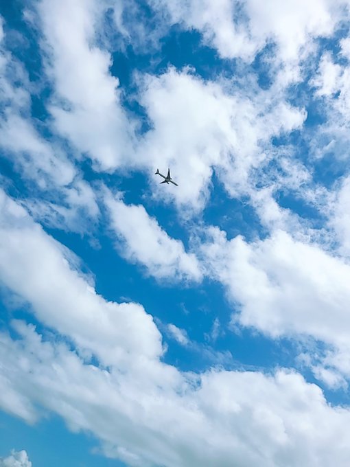 松田かれんのTwitter画像6