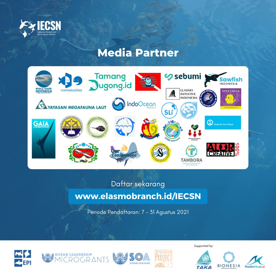 marinebuddies's tweet image. #CitizenScience #SOA #ThePollinationProject #Konservasi #KonservasiLaut #Hiu #Pari #Elasmobranchii #Indonesia #IECSN #EPI