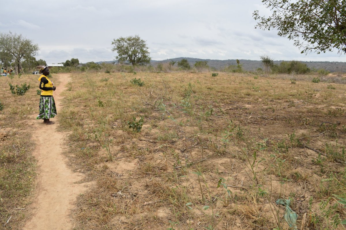With the current situation in Ganze life is not the same for the inhabitants with both food and water been scarce and they walk long distances in search of the latter. It is an emergency not only to the people even the animals they domesticate, are dying.<a href="/UN/">United Nations</a>,<a href="/WFP/">World Food Programme</a> <a href="/USAIDKenya/">USAID Kenya</a>
