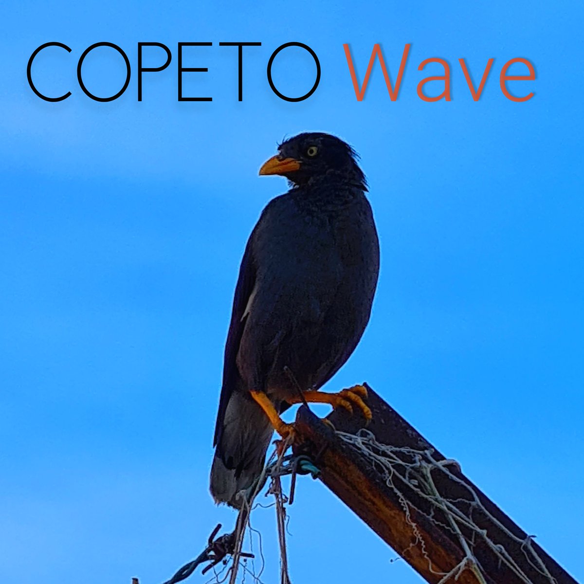 Hey peeps - we've got a new LP out! Eight songs in just 20 minutes - please give it a listen!
sptfy.com/6jti
linktr.ee/copeto.band