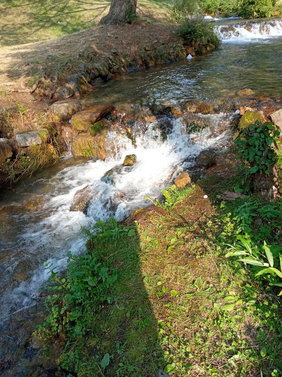 MehakbhatK's tweet photo. #kashmir 
#Nature 
#NaturePhotography https://t.co/EoLIoeoLYk