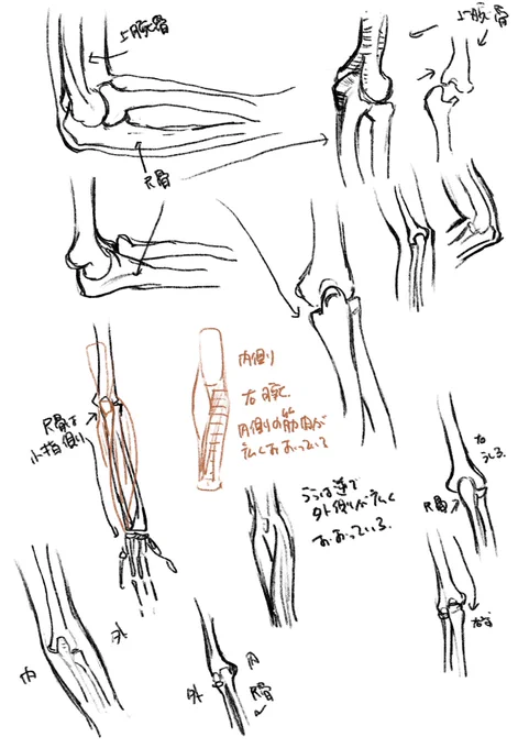 ずーっと昔から肘の骨のことが気になっててクロッキー行っても肘ばかり見てた。昨日はずーっと肘のレントゲンばかり見てた。ずーっと自分の肘の骨を目をつぶって触って、斜めなの?!って独り言を云ったりしてた。 