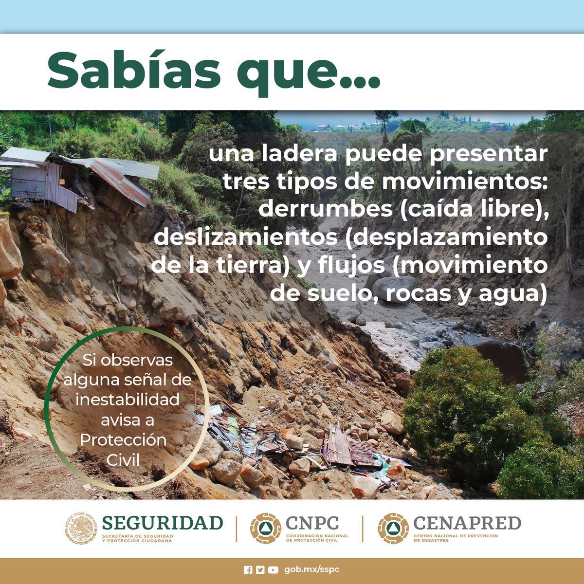 🌧️ Las fuertes #Lluvias ocasionadas por los #CiclonesTriopicales 🌀, pueden detonar #DeslizamientoDeLaderas. 

👁️ Si observas hundimiento y agretamiento en la parte media o alta de la #ladera, rotura de pavimento o inclinación de árboles 🌳, repórtalo a las autoridades o al #911.