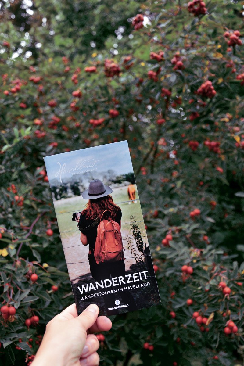 wanderjenosse's tweet photo. Der Herbst stattet dem Sommer einen Kurzbesuch ab. Holt schon mal die Wanderschuhe raus! Inspiration gibt's in der neuen  Wanderzeit. Mit noch mehr Wandertouren durchs Havelland. Alle von mir abgelaufen und beschrieben in Koop mit Havelland-Tourismus.
#hiking #nachbrandenburg https://t.co/Z2VUAtrzHa