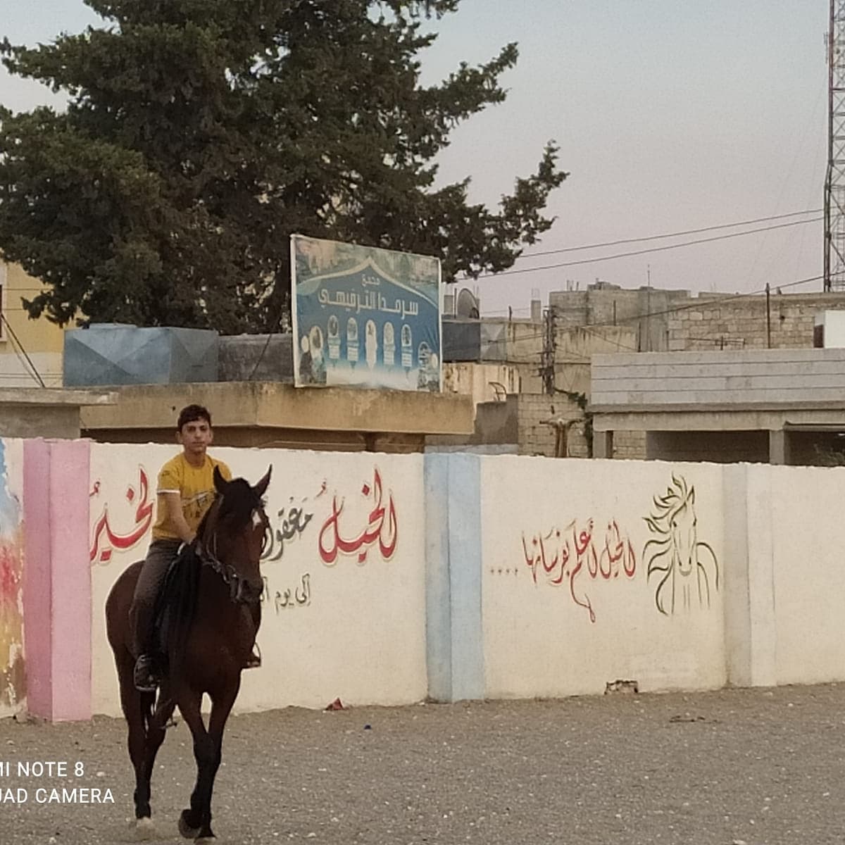 zeytinedud's tweet photo. من أنشطة منظمة #غصن_زيتون_للتعليم_والثقافة الصيفية في #مدرسة_المعالي في #الشمال_السوري
#أنشطة #تعليم #ثقافة #تدريب #ركوب_الخيل #كرة_القدم https://t.co/dq0iPPFlaK