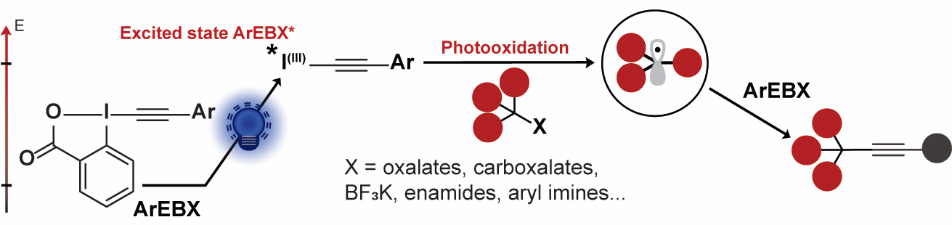 LcsoLab's tweet photo. From @ChemRxiv to @angew_chem the work of Stephanie @steph_ge_amos  , Diana and Franck @FranckF1476    @EPFL_CHEM_Tweet  @NCCR_Catalysis  on the direct photoexcitation of ArEBX reagents is now accepted for publication
https://t.co/6onUJNyPOS https://t.co/g98lz7v3M1