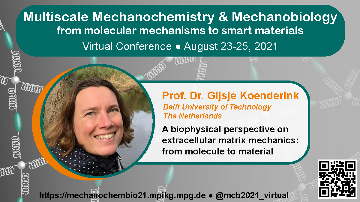 Last but not least, we are introducing our speaker Gijsje Koenderink @gijsjekoenderi1 who will talk about her exciting work on the mechanics of the #ExtracellularMatrix. Join her talk and check out her group's website to find out more: tudelft.nl/en/faculty-of-…