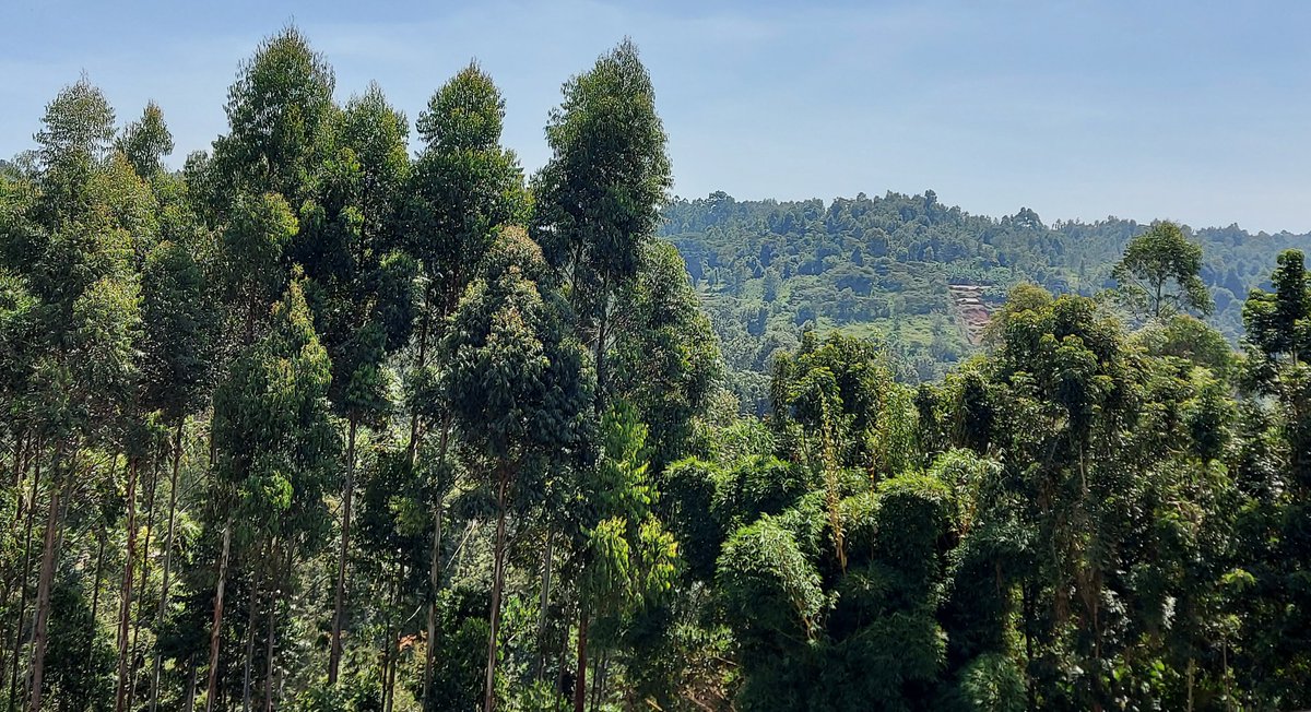 Ademola Olajide tweet media