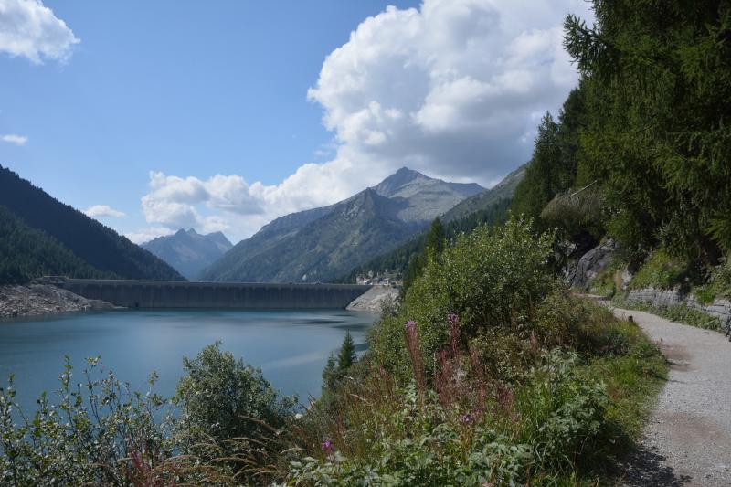 gianolinibike's tweet photo. In #MTB alla scoperta della Val di Fumo partendo da Daone (#Trento) e passando per i laghi di Malga Boazzo e Malga Bissina. Da Malga Breguzzo si prosegue camminando a fianco del Chiese con il Carè Alto che domina la Val di Fumo. Maggiori dettagli su: https://t.co/xgWFt0RY2r https://t.co/edyLfMZ0zb
