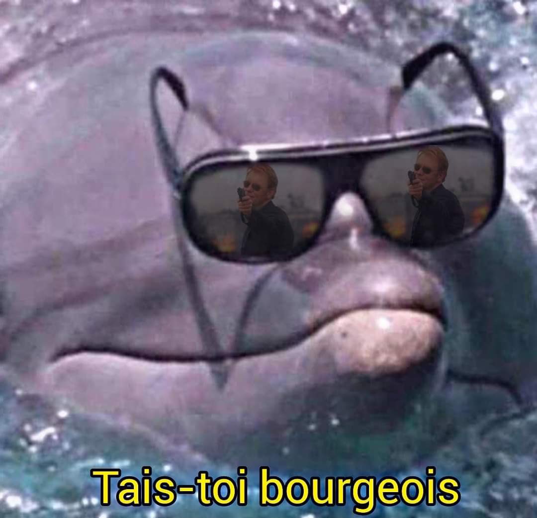 memecredi's tweet photo. Les seums sont encore en vacances mais ielles ne veulent pas vous priver de votre moment salé préféré. Voici donc 4 images pour vous amuser / râler / pleurer, à reposter avec un titre et le #memecredi! A ce soir pour les résultats! https://t.co/c7WGkPZPV0