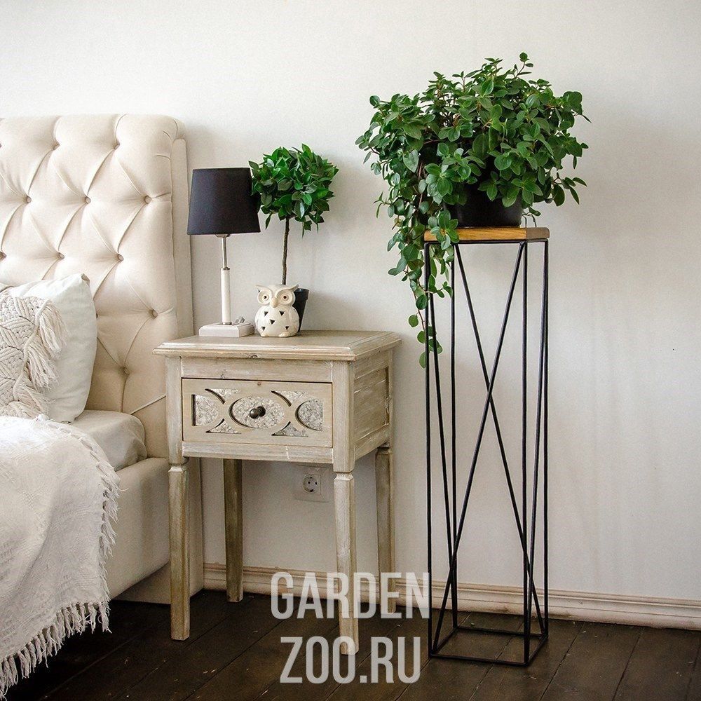 Garden_Zoo's tweet image. Мебель в стиле Лофт в наличии и под заказ.

#мебель #лофт #кованаямебель #мебельлофт #подставкидляцветов #loft #зелёныйдом #gardenzoo
garden-zoo.ru/categories/meb…